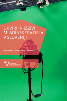 Naslovnica za Okviri in izzivi mladinskega dela v Sloveniji 